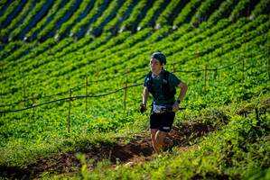 BIB: 
                            <button type="button" onclick="openModal(19160437)" class="btn btn-primary btn-sm float-right btn-popup" data-toggle="modal" data-target=".modal-high-quality">
                        <i class="fas fa-shopping-cart"></i> Add to Cart
                    </button>
                                            <button type="button" onclick="isThisMe(19160437, true)" class="btn btn-success btn-sm float-right btn-popup btn-isme hidden" data-toggle="tooltip" data-placement="bottom" title="นี่คือรูปของคุณใช่ไหม คลิกที่นี่เพื่อเอาเข้าอัลบั้ม">
                        <i class="fas fa-plus"></i> Add to album
                    </button>
                    <button type="button" onclick="isThisMe(19160437, false)" class="btn btn-warning btn-sm float-right btn-popup btn-isnotme hidden">
                        <i class="fas fa-ban"></i> Remove from album
                    </button>